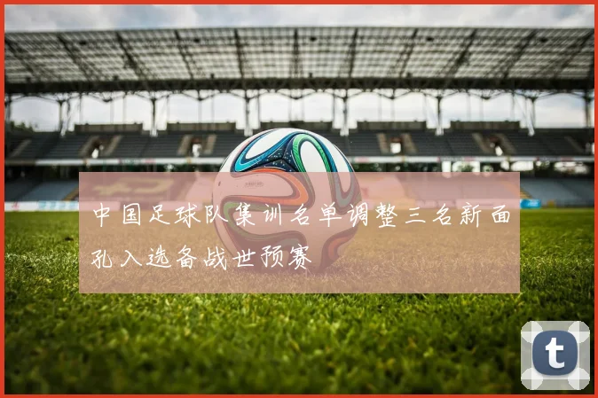中国足球队集训名单调整三名新面孔入选备战世预赛