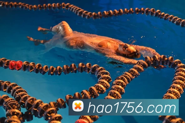 必一运动b官网品牌故事