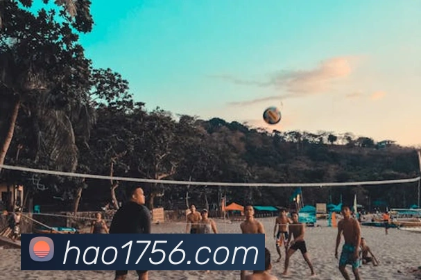 必一运动b官网服务体系